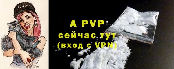 ПСИЛОЦИБИНОВЫЕ ГРИБЫ Вяземский