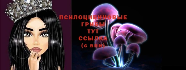 дживик Вязники