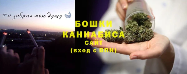 ПСИЛОЦИБИНОВЫЕ ГРИБЫ Горнозаводск