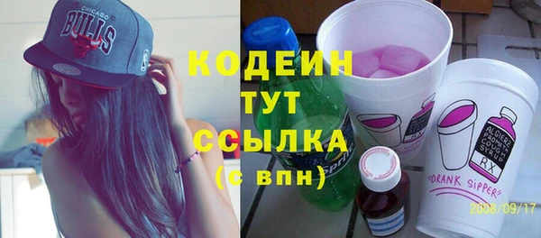 ПСИЛОЦИБИНОВЫЕ ГРИБЫ Вяземский