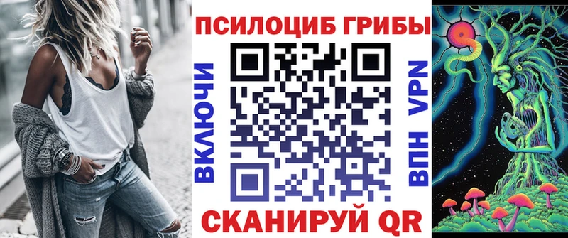 Галлюциногенные грибы ЛСД  ссылка на мегу tor  Нижнекамск 